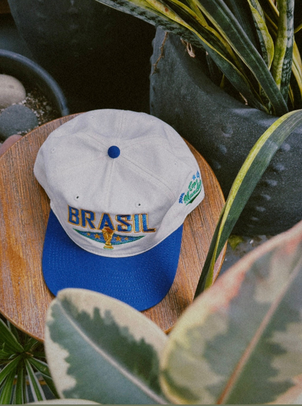 Brazil WC '26