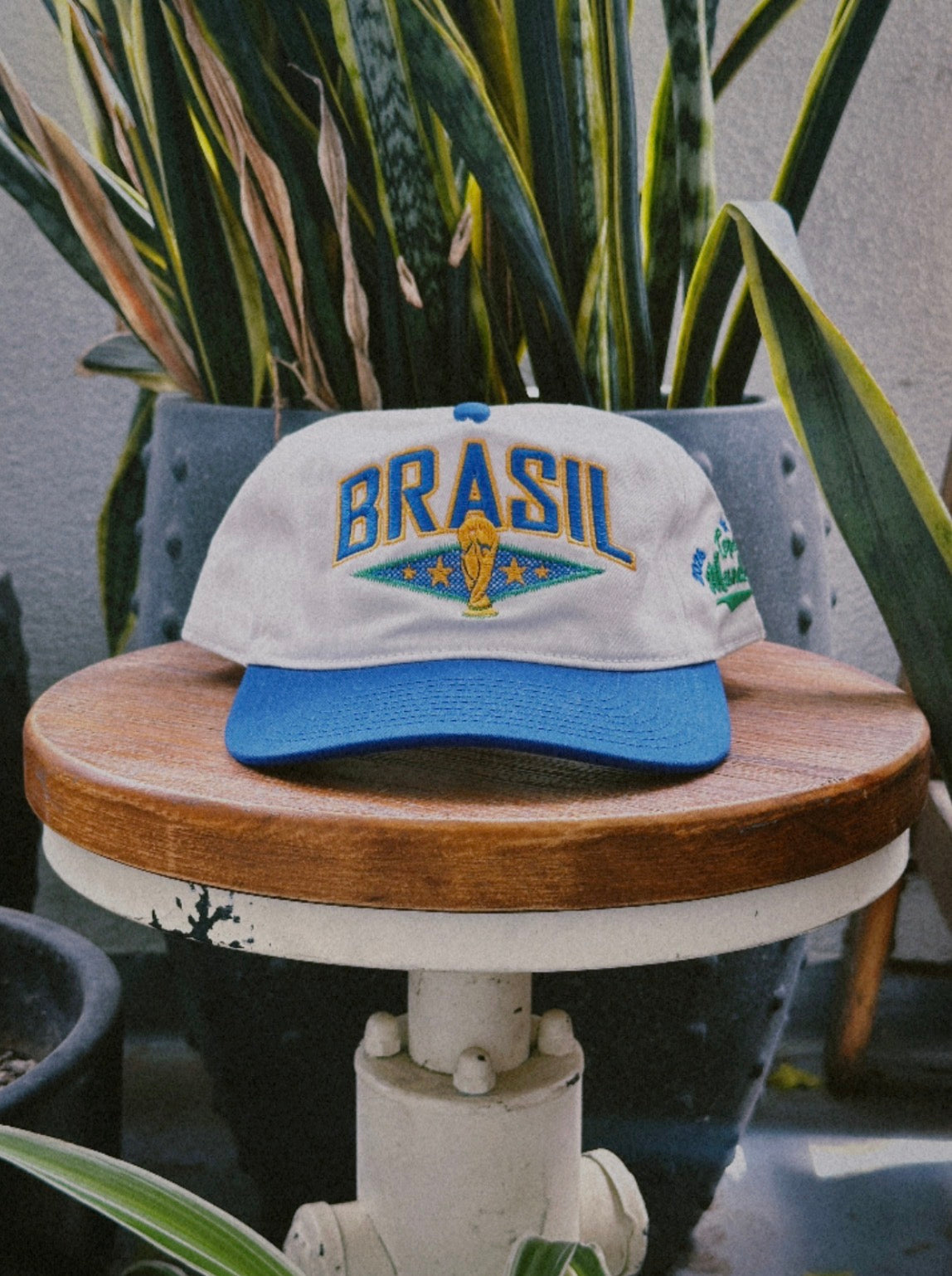 Brazil WC '26