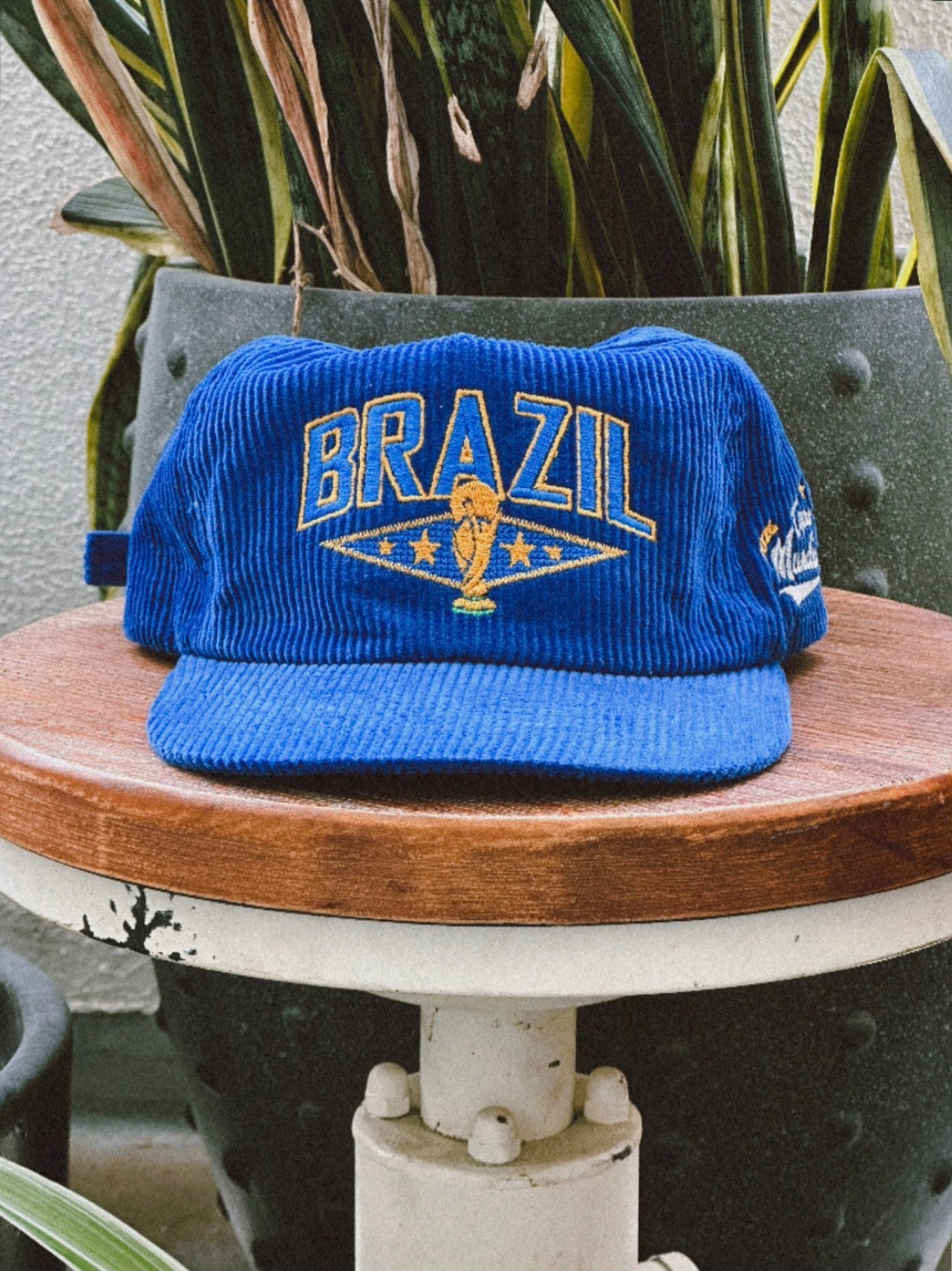 Brazil WC '26