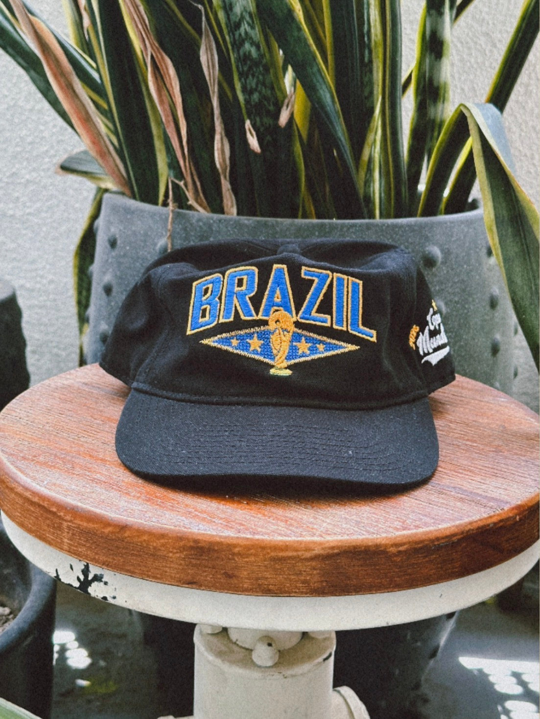 Brazil WC '26